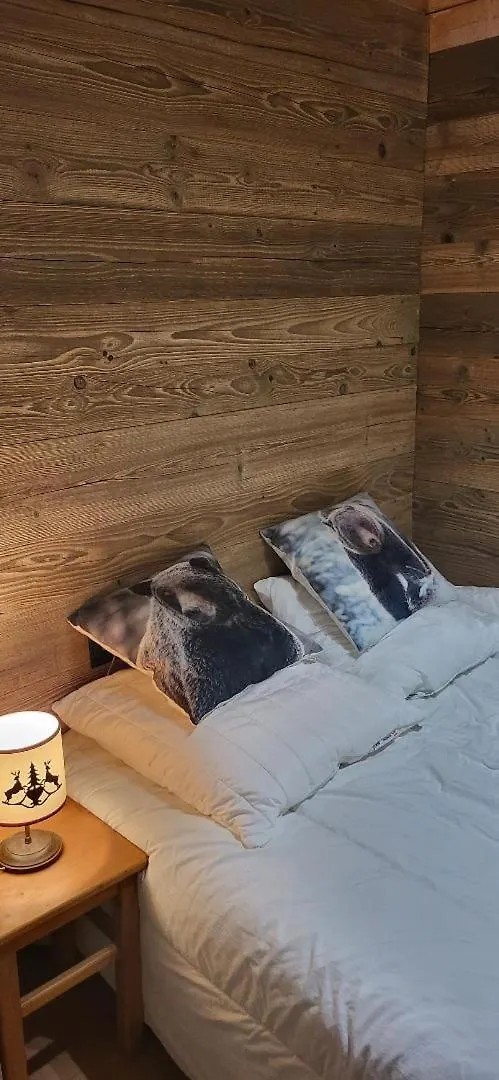 Chalet La Plagne Montalbert 50M Des Pistes La Plagne-Tarentaise